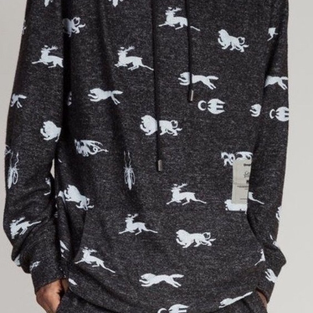 ISO GOT Sigil hoodie